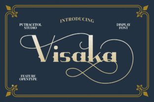 Visaka: A Dynamic Display Font for Handmade Brands